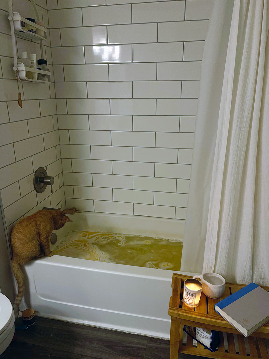 cat_bathtub_full