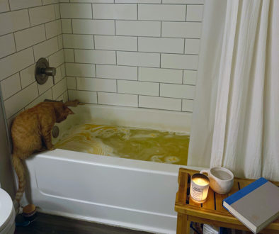 cat_bathtub_sqr