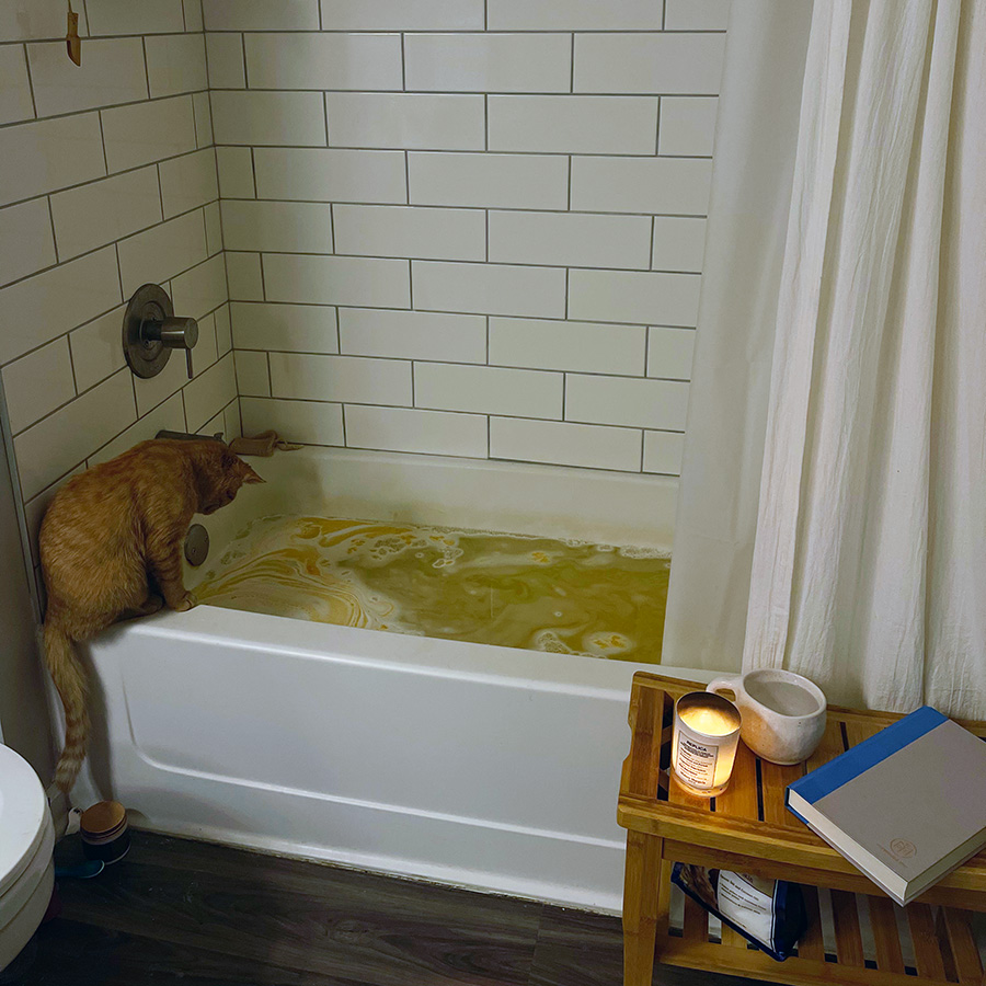 cat_bathtub_sqr
